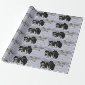 Finnish Lapphunds Geschenkpapier (Ungerollt)