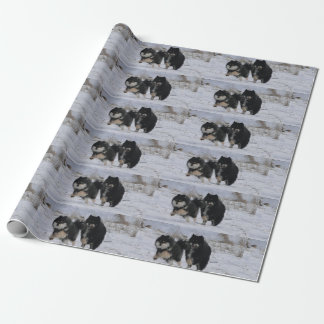 Finnish Lapphunds Geschenkpapier