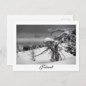 Finnland Alien Baumpostkarte Postkarte (Vorne/Hinten)