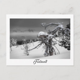 Finnland Alien Baumpostkarte Postkarte