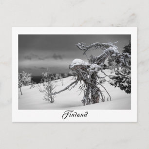 Finnland Alien Baumpostkarte Postkarte