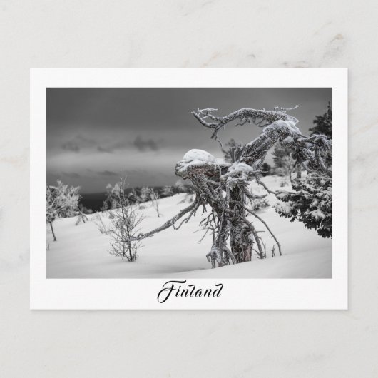 Finnland Alien Baumpostkarte Postkarte (Vorderseite)