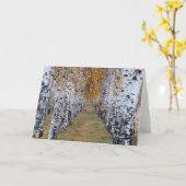 Finnland-Birken-Wald Karte (Gelbe Blume)