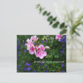 Finnland in Blume, 1. in Serie Postkarte (Stehend Vorderseite)