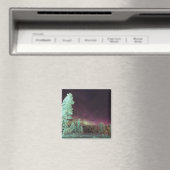 Finnland, Lappland, Kakslauttanen, Magnet (In Situ (Geschirrspüler))