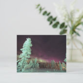 Finnland, Lappland, Kakslauttanen, Postkarte (Stehend Vorderseite)