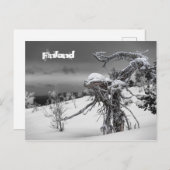 Finnland Postkarte Tourismus (Vorne/Hinten)