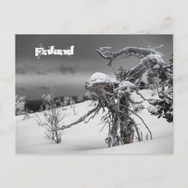 Finnland Postkarte Tourismus