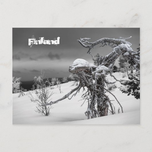 Finnland Postkarte Tourismus (Vorderseite)