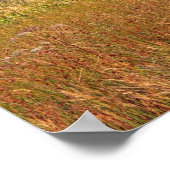 Finnland, Schottland Poster (Ecke)