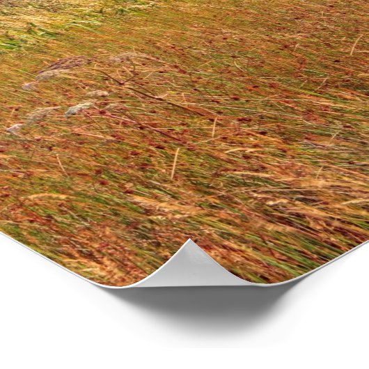 Finnland, Schottland Poster (Ecke)