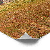 Finnland, Schottland Poster (Ecke)