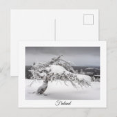 Finnland Wintersouvenir Postkarte (Vorne/Hinten)
