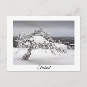 Finnland Wintersouvenir Postkarte