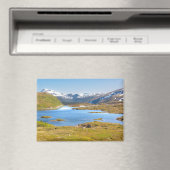 Finnvikvatnet Magnet (In Situ (Geschirrspüler))