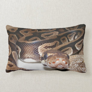 Fiona sagt hallo lendenkissen