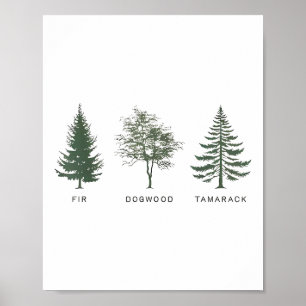 Fior Dogwood Tamarack Vintager Nationalpark Poster