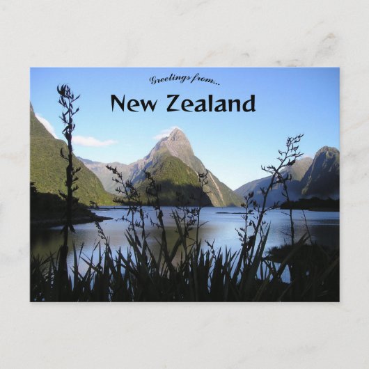 Fiordland Neuseeland Postkarte (Vorderseite)