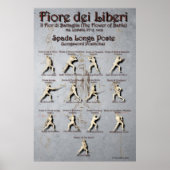 Fiore Longsword Poste Poster (Vorne)