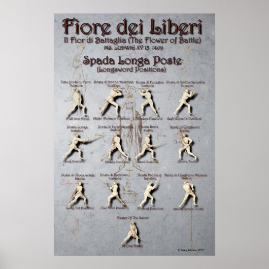Fiore Longsword Poste Poster (Vorne)