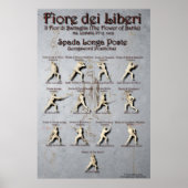 Fiore Longsword Poste Poster (Vorne)
