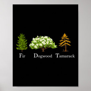 Fir Dogwood Tamarack Vintager Wohnsitz Nationalpar Poster