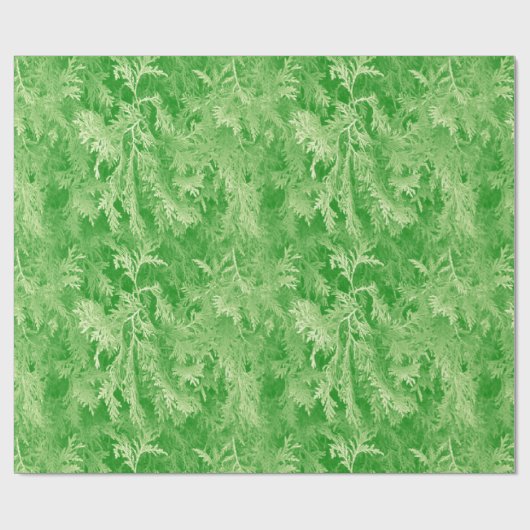 Fir Forest Geschenkpapier (Flach)