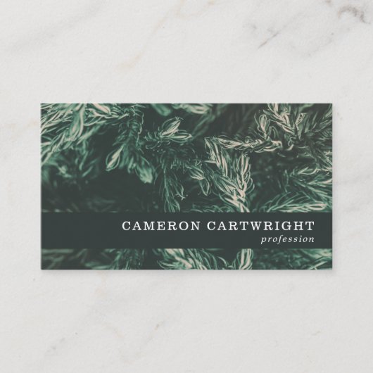 Fir Needles Visitenkarte (Vorderseite)