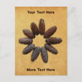 Fir Tree Cones Star Postkarte (Vorderseite)