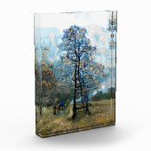 FIR TREE FOTOBLOCK (Links)