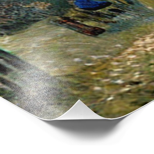 FIR TREE FOTODRUCK (Ecke)