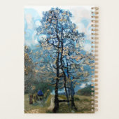 FIR TREE PLANER (Rückseite)