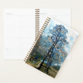 FIR TREE PLANER (Anzeige)