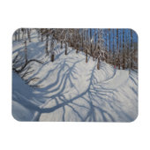 Fir Tree Shadows Tignes 2009 Magnet (Horizontal)