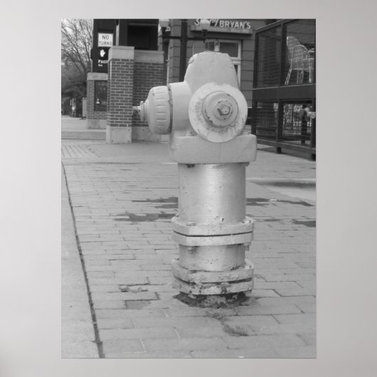 Fire Hydrant Poster (Vorne)