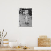 Fire Hydrant Poster (Küche)