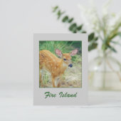 'Fire Island Fawn' Postcard Postkarte (Stehend Vorderseite)
