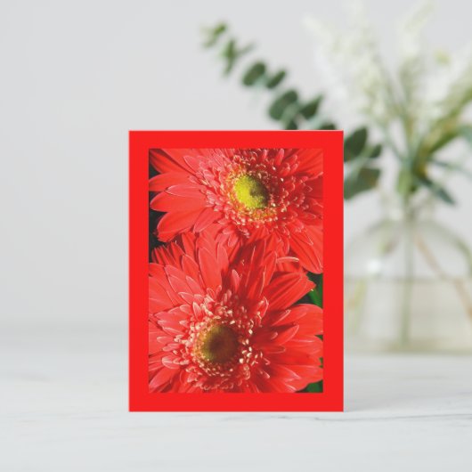 Fire Red Gerbera Postkarte (Stehend Vorderseite)