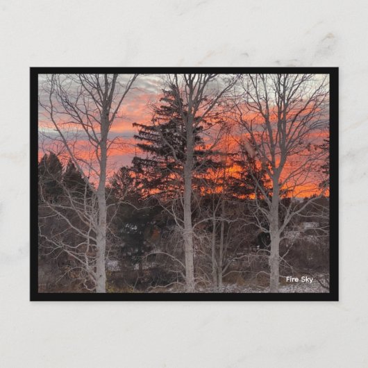 Fire Sky Through Winter Trees Postkarte (Vorderseite)