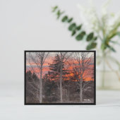 Fire Sky Through Winter Trees Postkarte (Stehend Vorderseite)