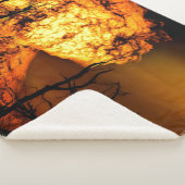 FIREBALL DER APOCALYSPE SHERPADECKE (3/4)