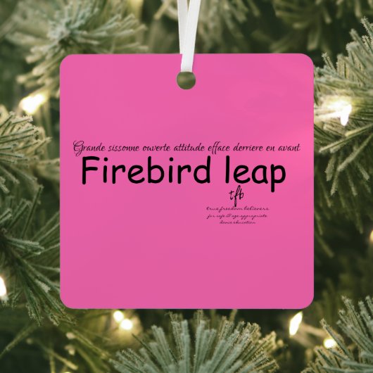 Firebird Leap Hot Pink und Black Sq. Ornament Aus Metall (InSitu)