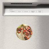Firebugs Magnet (In Situ (Geschirrspüler))