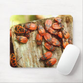 Firebugs Mouse Mat Mousepad (Mit Mouse)