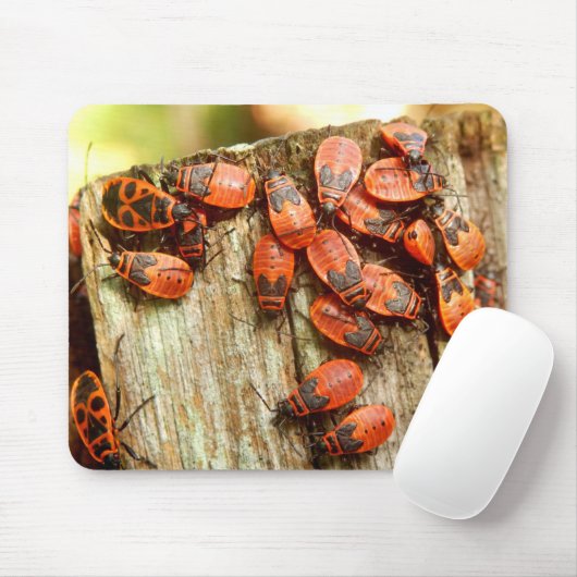 Firebugs Mouse Mat Mousepad (Mit Mouse)