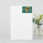 "Firecracker" Nass Fly Stationery Briefpapier (Stehend Vorderseite)