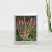 Firecracker Penstemon - Native Notecard Karte (Vorderseite)