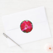 Firecracker-Rose ~ Single Bloom Runder Aufkleber (Umschlag)