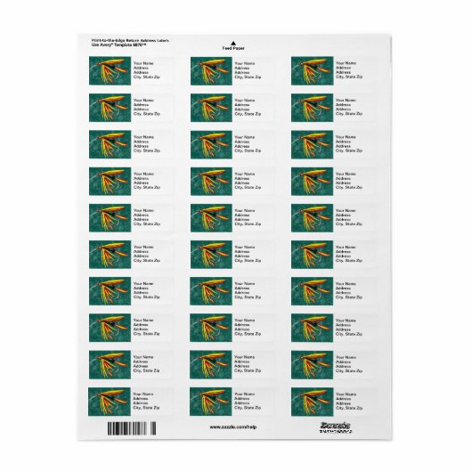 Firecracker Trout Fly Return Address Label (Vorne)
