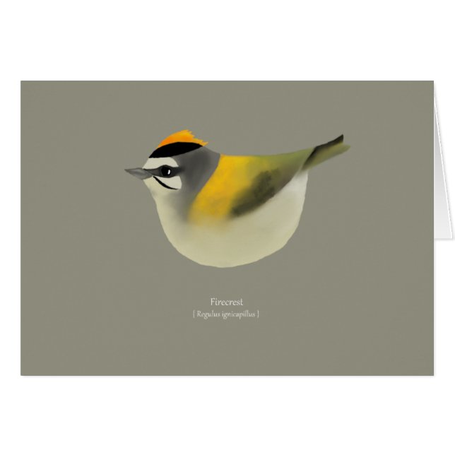 Firecrest (Vorderseite (Horizontal))